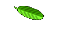 biz