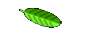 klenert-online