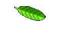 privat